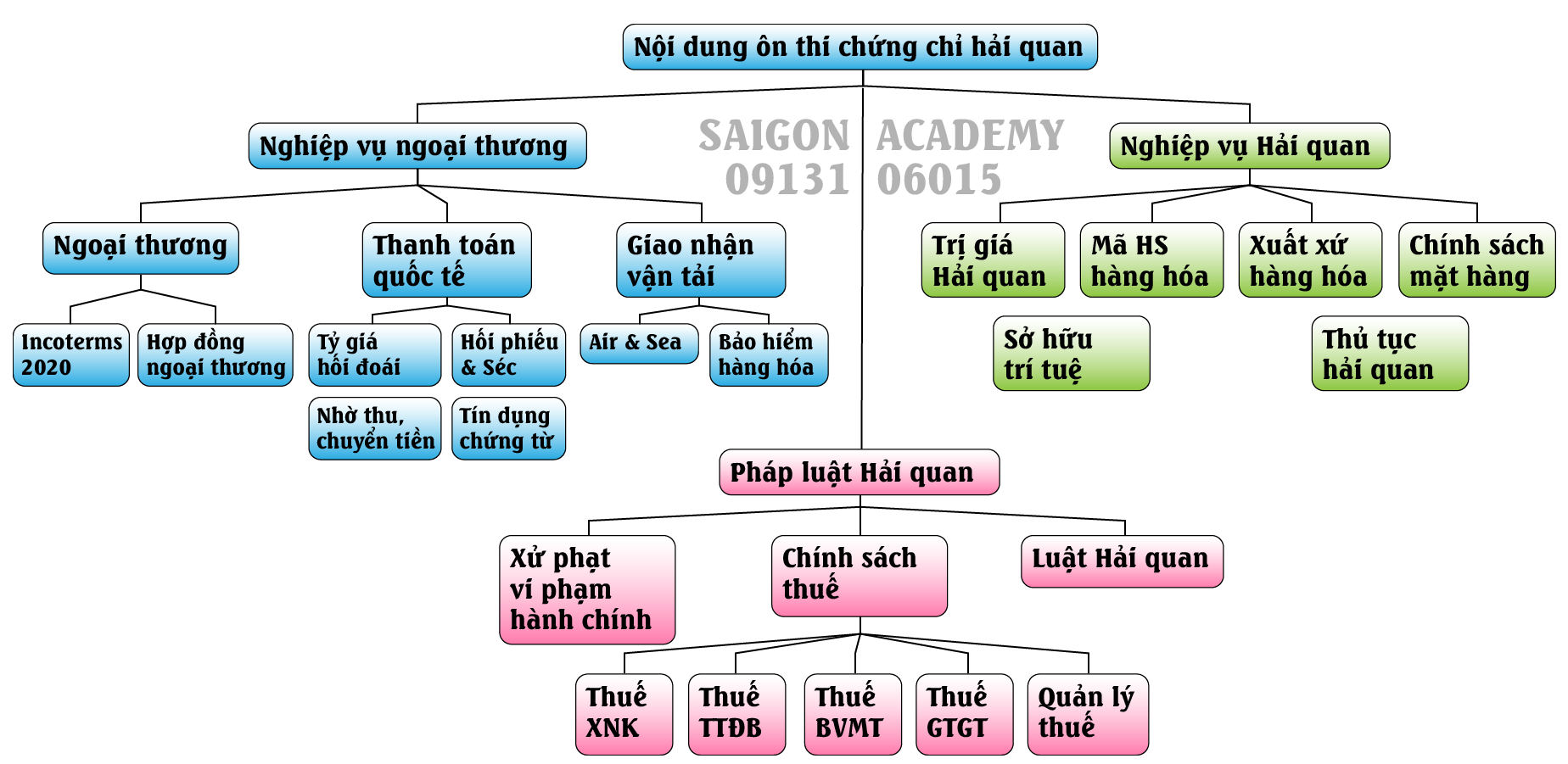 lớp ôn thi chứng chỉ khai báo hải quan