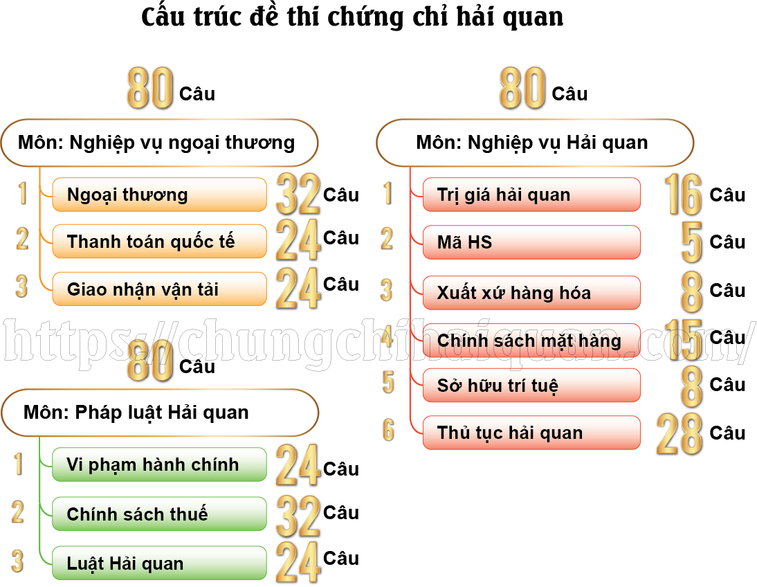 Cấu trúc đề thi chứng chỉ hải quan
